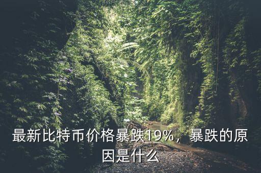 最新比特幣價格暴跌19%，暴跌的原因是什么