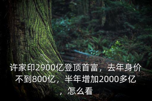 許家印2900億登頂首富，去年身價不到800億，半年增加2000多億，怎么看