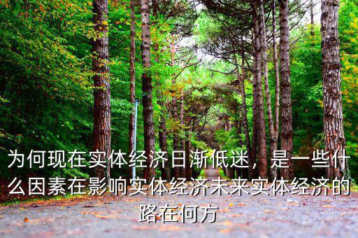 為何現(xiàn)在實(shí)體經(jīng)濟(jì)日漸低迷，是一些什么因素在影響實(shí)體經(jīng)濟(jì)未來實(shí)體經(jīng)濟(jì)的路在何方