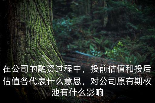 在公司的融資過程中，投前估值和投后估值各代表什么意思，對公司原有期權(quán)池有什么影響