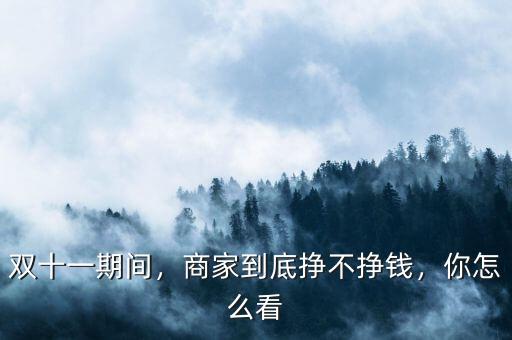 雙十一期間，商家到底掙不掙錢，你怎么看