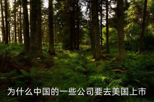 為什么都要赴美上市,華為為什么要把工廠設在美國