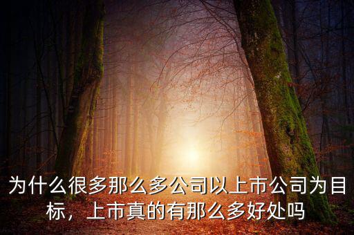 為什么很多那么多公司以上市公司為目標(biāo)，上市真的有那么多好處嗎