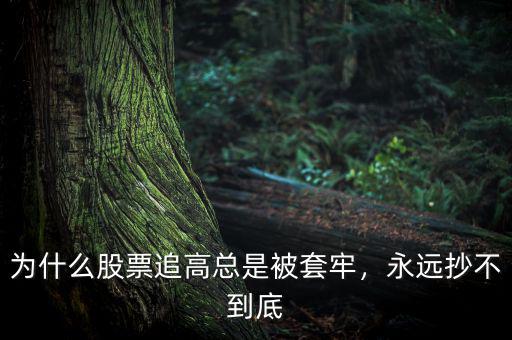 為什么股票追高總是被套牢，永遠(yuǎn)抄不到底