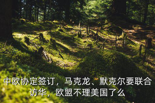 中歐協(xié)定簽訂，馬克龍、默克爾要聯(lián)合訪華，歐盟不理美國了么