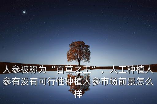 人參被稱為“百草之王”，人工種植人參有沒有可行性種植人參市場前景怎么樣