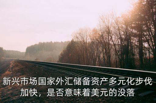 新興市場(chǎng)國(guó)家外匯儲(chǔ)備資產(chǎn)多元化步伐加快，是否意味著美元的沒落