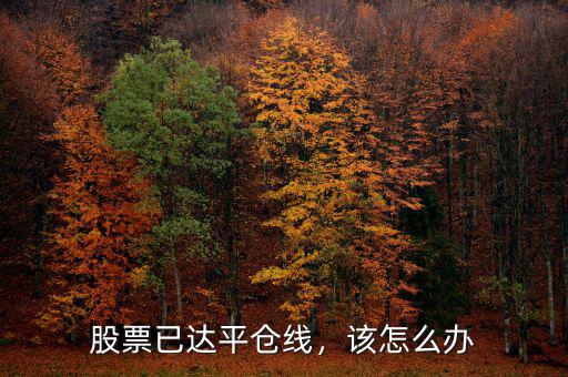 股票已達(dá)平倉線，該怎么辦