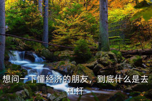 想問一下懂經(jīng)濟的朋友，到底什么是去杠桿