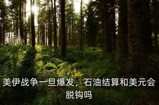 美伊戰(zhàn)爭(zhēng)一旦爆發(fā)，石油結(jié)算和美元會(huì)脫鉤嗎