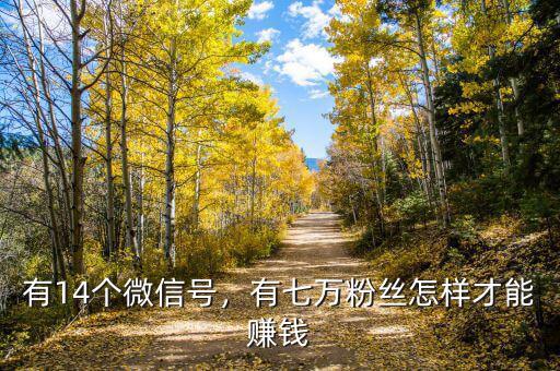 有14個(gè)微信號(hào)，有七萬(wàn)粉絲怎樣才能賺錢(qián)