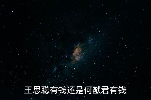 王思聰家產多少,如果你擁有王思聰?shù)募耶a