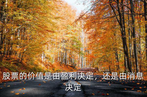 股票的價(jià)值是由盈利決定，還是由消息決定
