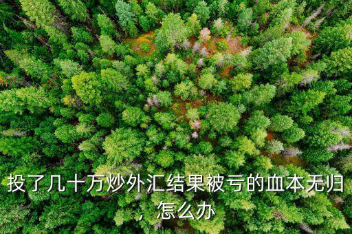 投了幾十萬炒外匯結(jié)果被虧的血本無歸，怎么辦