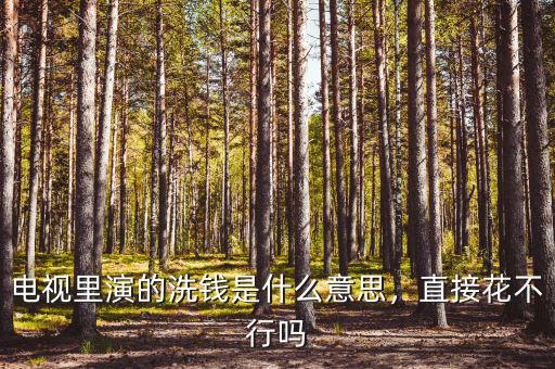 電視里演的洗錢(qián)是什么意思，直接花不行嗎