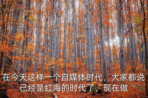 在今天這樣一個自媒體時代，大家都說已經(jīng)是紅海的時代了，現(xiàn)在做