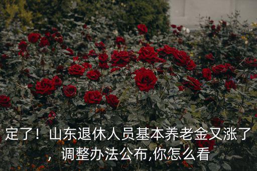 定了！山東退休人員基本養(yǎng)老金又漲了，調(diào)整辦法公布,你怎么看