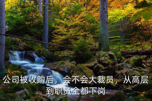 公司被收購后，會(huì)不會(huì)大裁員，從高層到職員全都下崗