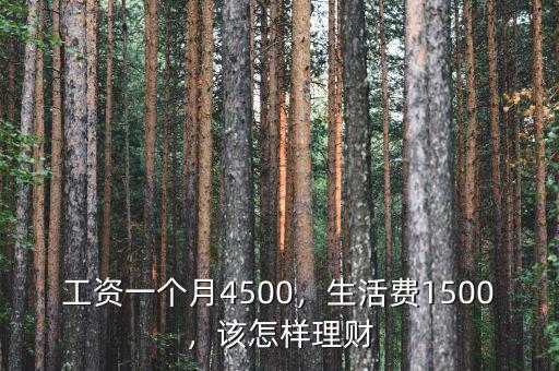 工資一個月4500，生活費1500，該怎樣理財