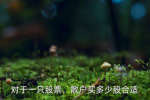 對于一只股票，散戶買多少股合適