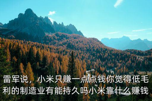 雷軍說(shuō)，小米只賺一點(diǎn)點(diǎn)錢你覺(jué)得低毛利的制造業(yè)有能持久嗎小米靠什么賺錢