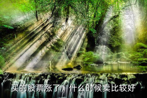 買的股票漲了，什么時候賣比較好