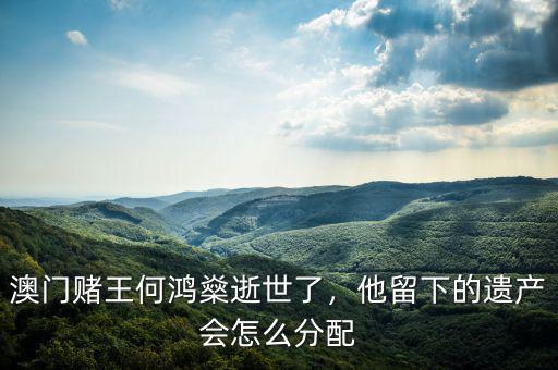 澳門賭王何鴻燊逝世了，他留下的遺產(chǎn)會怎么分配