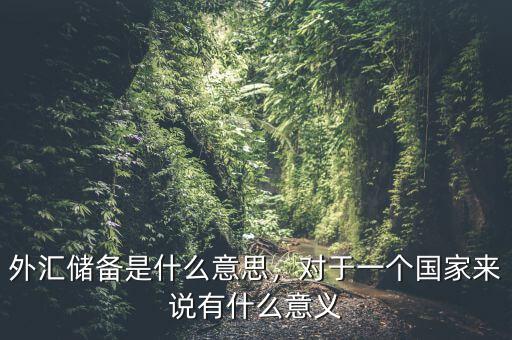 外匯儲(chǔ)備是什么意思，對于一個(gè)國家來說有什么意義