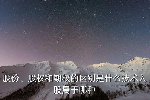 股份、股權(quán)和期權(quán)的區(qū)別是什么技術(shù)入股屬于哪種