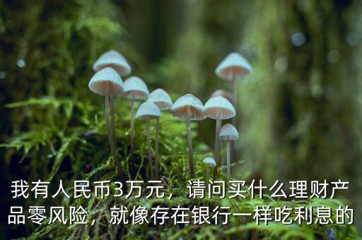 我有人民幣3萬(wàn)元，請(qǐng)問買什么理財(cái)產(chǎn)品零風(fēng)險(xiǎn)，就像存在銀行一樣吃利息的