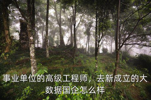 事業(yè)單位的高級工程師，去新成立的大數(shù)據(jù)國企怎么樣