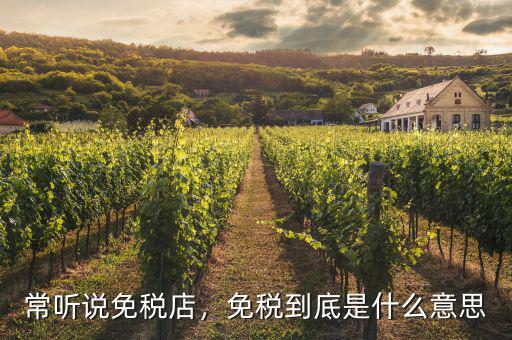 常聽說免稅店，免稅到底是什么意思
