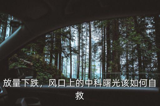 放量下跌，風(fēng)口上的中科曙光該如何自救