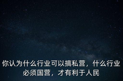 你認為什么行業(yè)可以搞私營，什么行業(yè)必須國營，才有利于人民