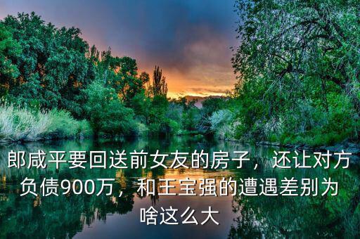 郎咸平要回送前女友的房子，還讓對方負債900萬，和王寶強的遭遇差別為啥這么大