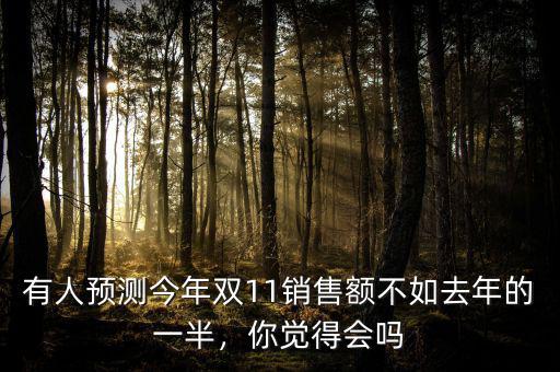 雙11京東為什么不公布銷售額,為什么阿里京東的數據刷屏