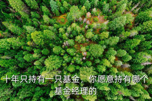 十年只持有一只基金，你愿意持有哪個基金經(jīng)理的