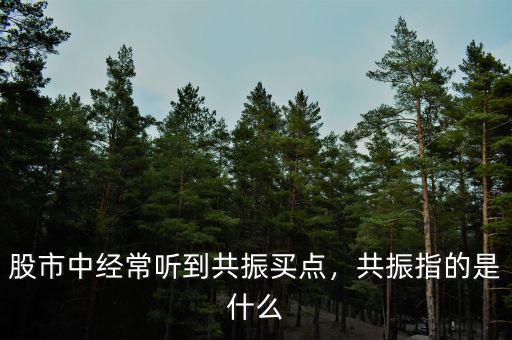 股市中經常聽到共振買點，共振指的是什么