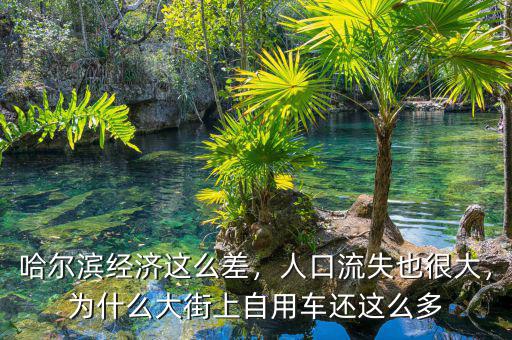 哈爾濱經(jīng)濟(jì)這么差，人口流失也很大，為什么大街上自用車還這么多