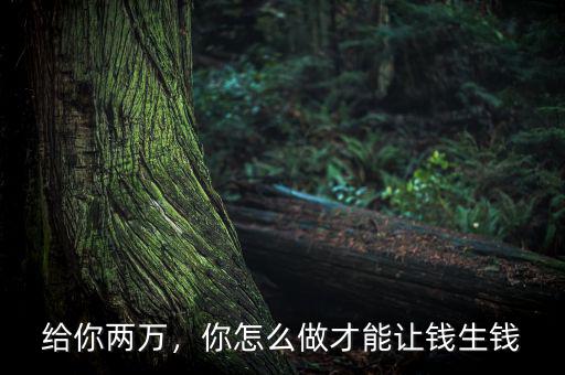給你兩萬，你怎么做才能讓錢生錢
