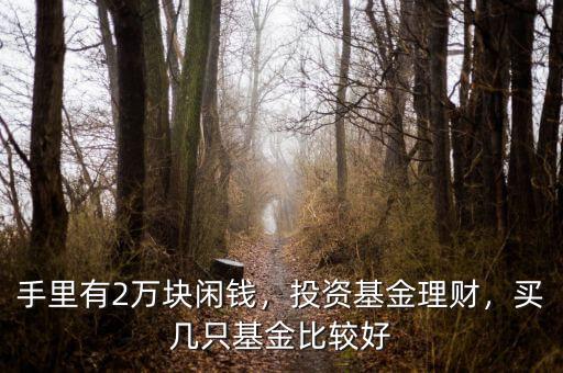 手里有2萬塊閑錢，投資基金理財，買幾只基金比較好