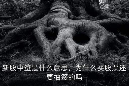 新股中簽是什么意思，為什么買股票還要抽簽的嗎