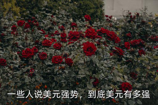 一些人說(shuō)美元強(qiáng)勢(shì)，到底美元有多強(qiáng)