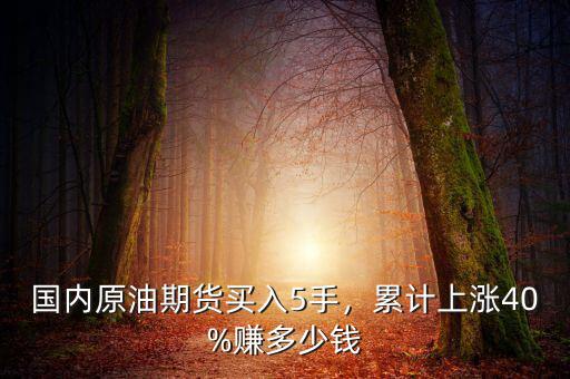 國內(nèi)原油期貨買入5手，累計(jì)上漲40%賺多少錢