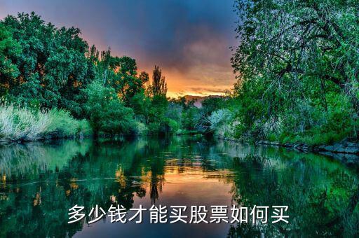 多少錢(qián)才能買(mǎi)股票如何買(mǎi)