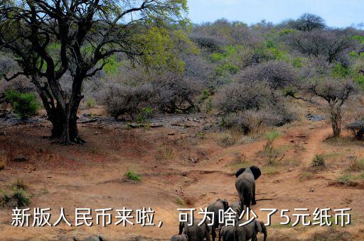 新版人民幣來(lái)啦，可為啥少了5元紙幣