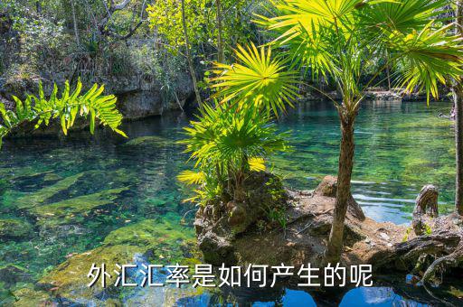 外匯匯率和什么有關,外匯匯率是如何產生的呢