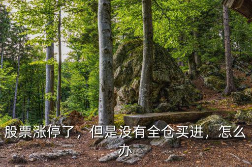 股票漲停了，但是沒有全倉(cāng)買進(jìn)，怎么辦