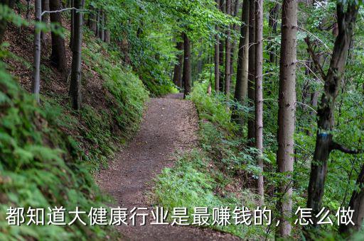 都知道大健康行業(yè)是最賺錢(qián)的，怎么做