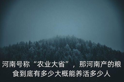河南號稱“農(nóng)業(yè)大省”，那河南產(chǎn)的糧食到底有多少大概能養(yǎng)活多少人